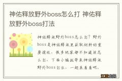 神佑释放野外boss怎么打 神佑释放野外boss打法