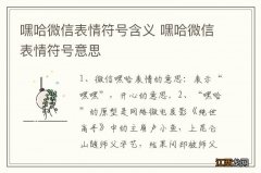 嘿哈微信表情符号含义 嘿哈微信表情符号意思