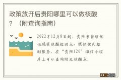 附查询指南 政策放开后贵阳哪里可以做核酸？