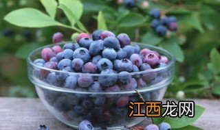 天天吃蓝莓对眼睛好吗 天天吃蓝莓对眼睛好不好