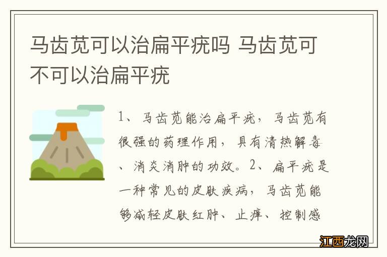 马齿苋可以治扁平疣吗 马齿苋可不可以治扁平疣