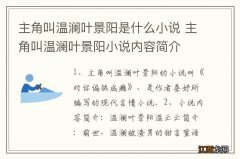 主角叫温澜叶景阳是什么小说 主角叫温澜叶景阳小说内容简介