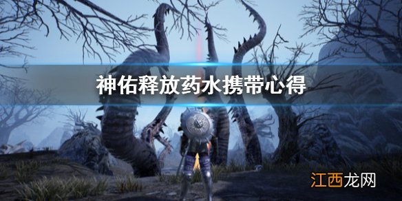 神佑释放药水怎么带 神佑释放药水携带心得