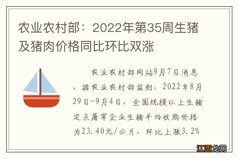 农业农村部：2022年第35周生猪及猪肉价格同比环比双涨