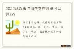 2022武汉粮油消费券在哪里可以领取？