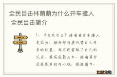 全民目击林萌萌为什么开车撞人 全民目击简介