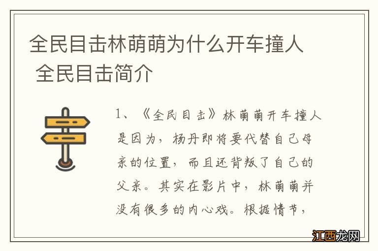 全民目击林萌萌为什么开车撞人 全民目击简介