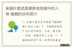 吴盛叶爱武是哪部电视剧中的人物 婚姻的诊所简介