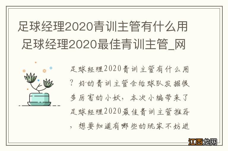足球经理2020青训主管有什么用 足球经理2020最佳青训主管_网