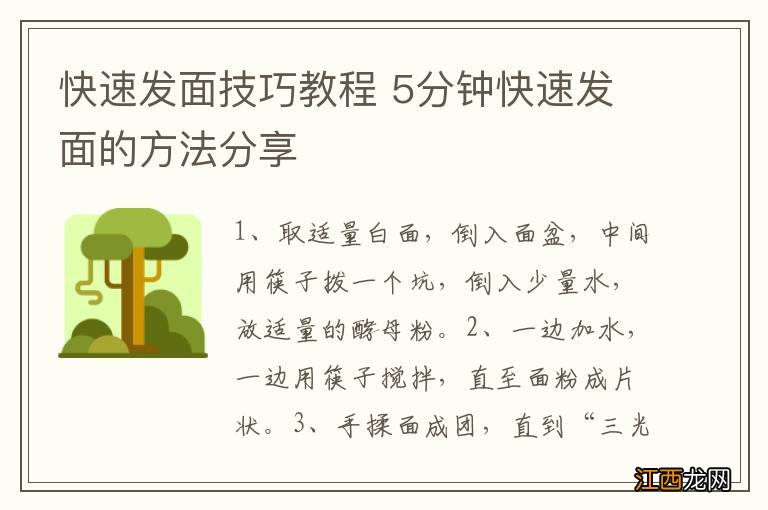 快速发面技巧教程 5分钟快速发面的方法分享