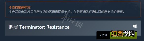 终结者抵抗游戏多少钱 终结者抵抗steam售价介绍一览_网