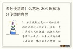 缘分使然是什么意思 怎么理解缘分使然的意思