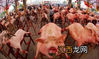 伊斯兰教为什么不吃猪肉