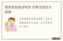 破损皮肤被宠物添 亦需注射狂犬疫苗