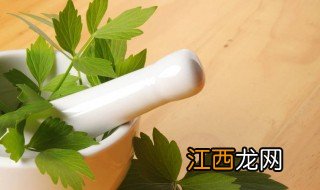 吃鲜当归叶时有什么需要注意的 吃鲜当归叶的禁忌