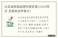 比亚迪高端品牌仰望官宣LOGO样式 灵感来自甲骨文！