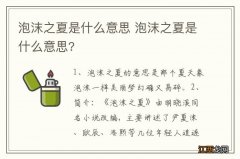 泡沫之夏是什么意思 泡沫之夏是什么意思?