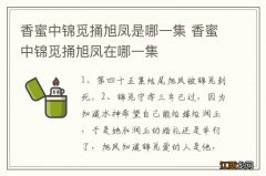 香蜜中锦觅捅旭凤是哪一集 香蜜中锦觅捅旭凤在哪一集