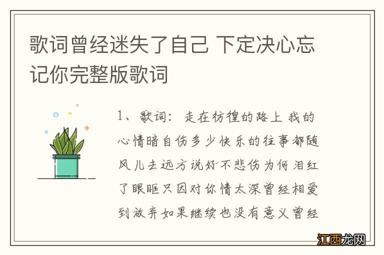 歌词曾经迷失了自己 下定决心忘记你完整版歌词