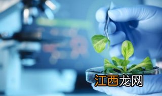 生物技术专业