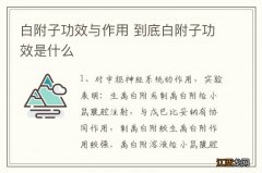 白附子功效与作用 到底白附子功效是什么