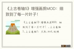 《上古卷轴5》增强画质MOD：细致到了每一片叶子！