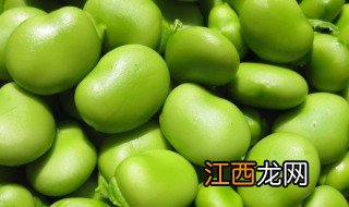 新鲜蚕豆角的功效与作用禁忌 新鲜蚕豆角可以怎么吃