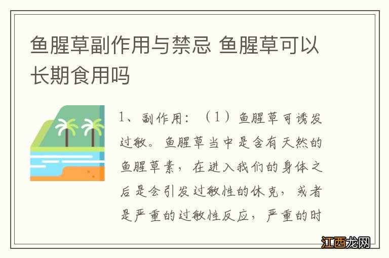 鱼腥草副作用与禁忌 鱼腥草可以长期食用吗