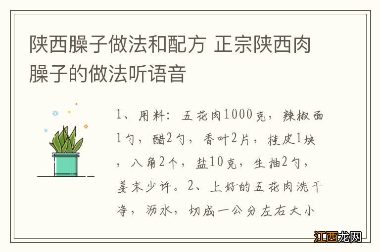 陕西臊子做法和配方 正宗陕西肉臊子的做法听语音