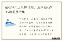 钻石985玉米种介绍，玉米钻石985特征及产地