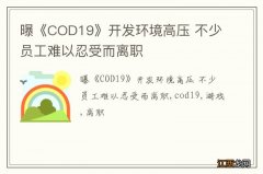 曝《COD19》开发环境高压 不少员工难以忍受而离职