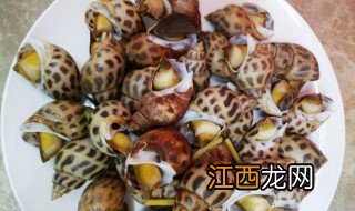 香螺煮多久 香螺怎么煮