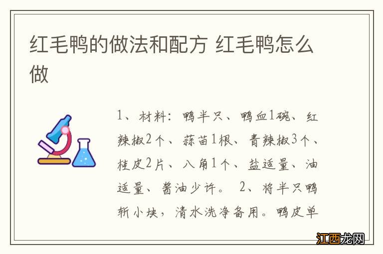 红毛鸭的做法和配方 红毛鸭怎么做