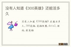 没有人知道《300英雄》还能活多久