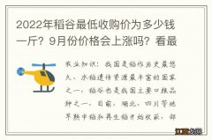 2022年稻谷最低收购价为多少钱一斤？9月份价格会上涨吗？看最新行