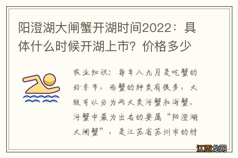 阳澄湖大闸蟹开湖时间2022：具体什么时候开湖上市？价格多少钱一只