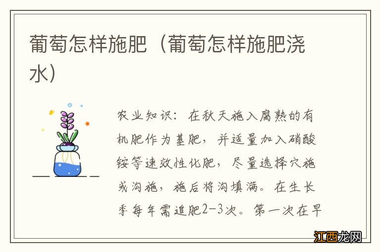 葡萄怎样施肥浇水 葡萄怎样施肥