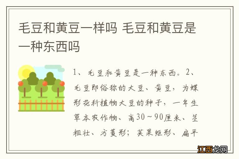 毛豆和黄豆一样吗 毛豆和黄豆是一种东西吗