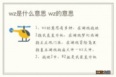 wz是什么意思 wz的意思