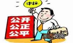 公开招标的组织与实施流程