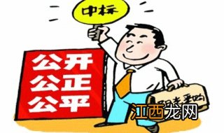 公开招标的组织与实施流程