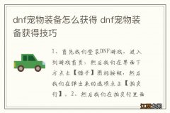 dnf宠物装备怎么获得 dnf宠物装备获得技巧