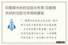 印度辣木籽的功效与作用 印度辣木籽的功效与作用有哪些