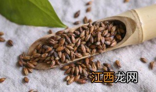 小麦茶有什么功效作用有哪些 小麦茶有何功效作用