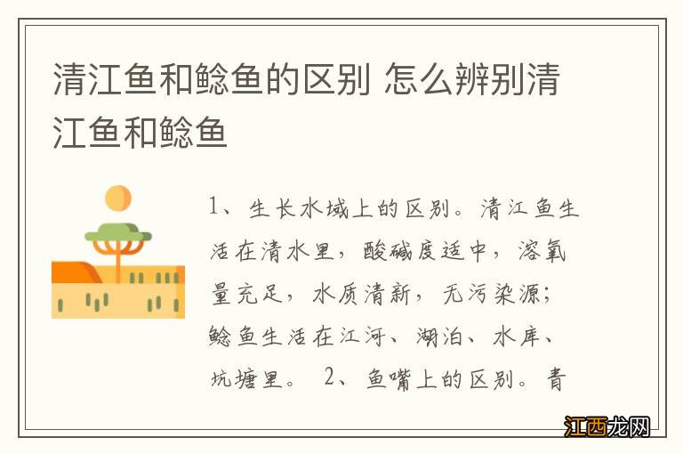 清江鱼和鲶鱼的区别 怎么辨别清江鱼和鲶鱼