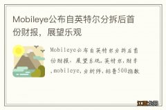 Mobileye公布自英特尔分拆后首份财报，展望乐观