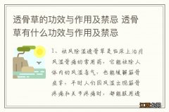 透骨草的功效与作用及禁忌 透骨草有什么功效与作用及禁忌