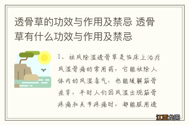 透骨草的功效与作用及禁忌 透骨草有什么功效与作用及禁忌