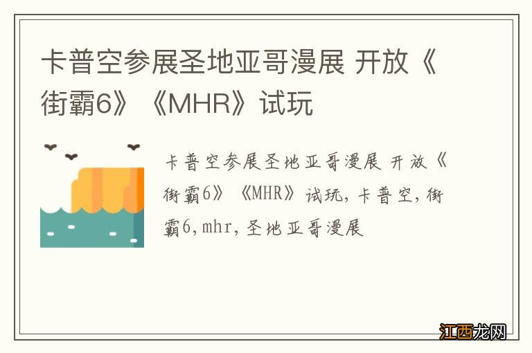 卡普空参展圣地亚哥漫展 开放《街霸6》《MHR》试玩