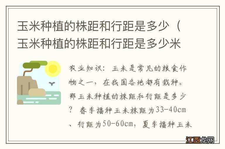 玉米种植的株距和行距是多少米 玉米种植的株距和行距是多少